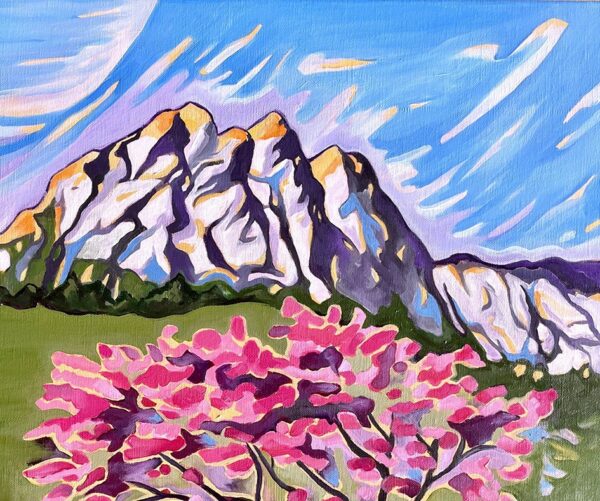 Arbres de Judée au pays de Pagnol