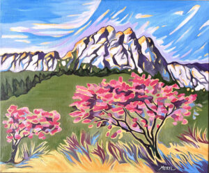 Arbres de Judée au pays de Pagnol