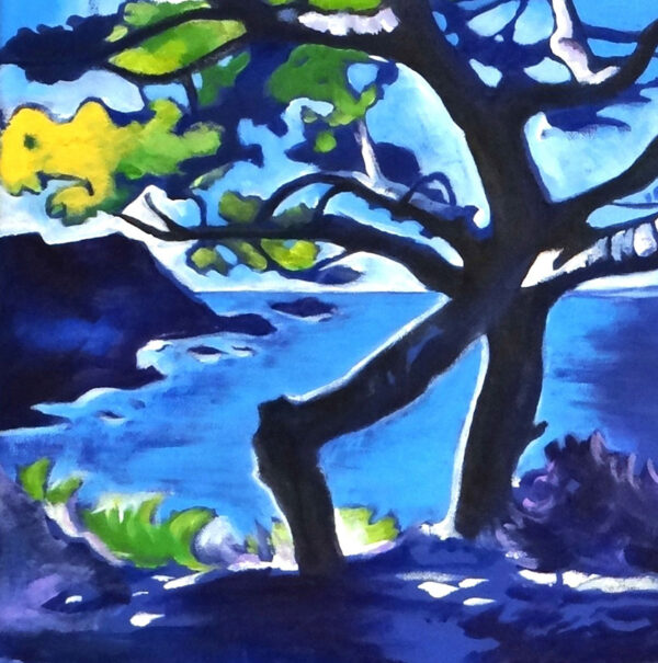 Détail troncs de pins en bord de mer à la Madrague à Saint cyr sur mer