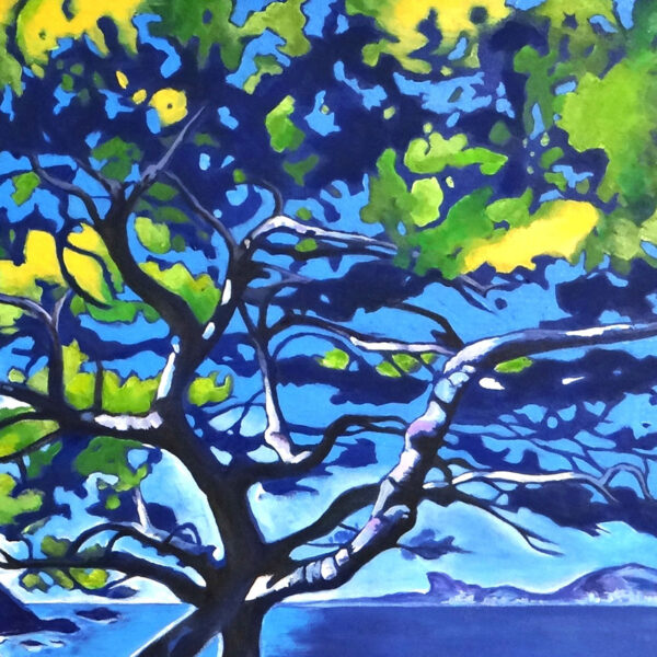 Détail de pins à la Madrague à Saint Cyr sur mer, tableau Meryl