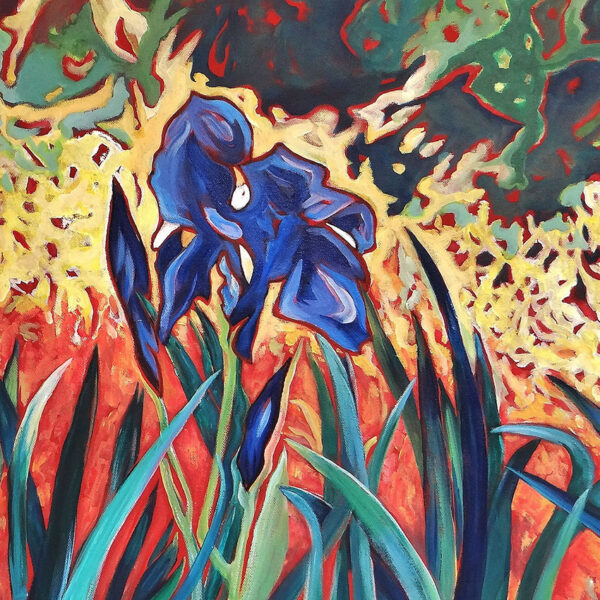 détail iris bleus au jardin